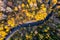 Small mountain river in autumn forest from a high point of view