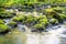 Small mountain river with boulders overgrown with bright green moss in a wild forest