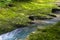 Small mountain river flowing through the green forest in stone bed. Rapid flow over rock covered with moss