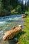 Small mountain river in the Semenov gorge, Kyrgyzstan.