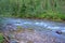 A small mountain river swiftly flowing around the stones in its path, flows through the morning forest