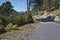 Small mountain Road to immersed in nature in central Corsica