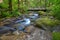 Small Mountain Stream and Bridge