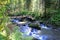 A small mountain stream, a cascade of waterfalls flowing through the Matins coniferous forest