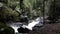 Small Mountain Stream Cascading Down Yosemite Park California