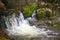 A small mountain stream cascading over rocks.