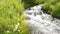 Small mountain stream flowing into trout lake at yellowstone