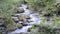 A small mountain stream flows over the stones