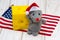 A small mouse with a piece of cheese on the background of the American flag. Concept: joke, symbol of the year, business prosperit