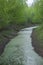 Small muddy forest river. A shallow pond with green water