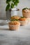Small muffins with lemon and basil