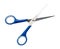 Small multipurpose scissors with blue handle isolated on white background with clipping path