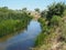 Small, narrow river on the background of fabulous wildlife among the forest area of trees, pines and deciduous trees. Natural