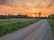 Small narrow road in a country side without asphalt at sunset, stunning colorful sky. Nobody. Nature scenery. Latvia rural area