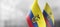 Small national flags of the Ecuador on a light blurry background