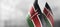Small national flags of the Kenya on a light blurry background