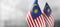 Small national flags of the Malaysia on a light blurry background
