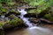 Small Native Trout Stream.