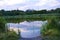 Small natural Lake Pishchevoye with green hills, unusual trees, reeds and vegetation in the area of the residential area of the No