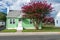 Small nice colorful  green house with a well-groomed lawn and a large Lagerstroemia at the entrance. Blue sky on a sunny day