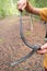 Small non-poisonous grass snake on the man`s palm