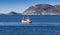 Small Norwegian fishing boat goes on fjord