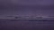 Small ocean waves breaking on a black sand beach before dawn at Muriwai, New Zealand