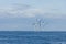 Small Offshore Wind Farm