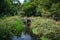 Small old arched bridge in a park