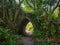 Small old stone arched bridge, hidden in nature undergrowth and weeds. Gateway hidden in green.