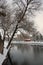 Small orange cottage and trees under the snow,