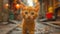 A small orange kitten is walking down a street and looking at the camera