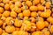 Small Orange Pumpkin Pile