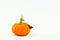Small orange pumpkin with whimsical, curly stem