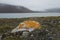 A small orange stone on the empty seacoast in the Arctic