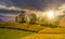 Small orchard on a grassy rural field at sunset