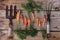 Small organic carrots among garden tools