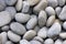 Small oval gray pebbles or stones