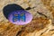 Small painted purple rock with a butterfly