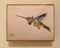 Small painting on canvas of a ruby-throated hummingbird on a wall in Marfa, Texas.