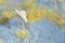 A small paper plane flies over a blurred abstract geographical map of the world.