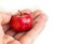 A small paradise red apple in the palm of your hand. Greed to give small,