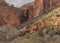 A small patch of sunshine lights the slope of the hill in the Court of the patriarchs in Zion national park Utah