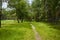 Small path in the summer forest.