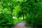 Small pathway between green trees in Zamecky Park in Hluboka nad Vltavou, Czech Republic, during spring season