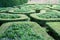 A small pattern of English cottage garden style,Fukien tea cutted wall on the left