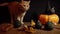 A small peach cat next to a red pumpkin on a black background.