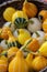 Small pear-shaped pumpkins Kleine Bicolor Yellow green pumpkin, harvest festival