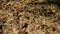 Small pebble stones closeup underwater of flow river stream