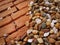 Small Pebble Stones On Tiled Brick Floor